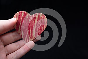 Heart shaped icon in handas love conception