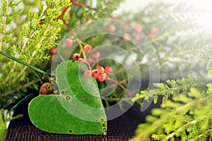 Heart shaped leaf, Christmas tree and red berries