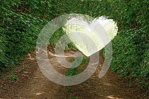 Heart-shaped light at the end of the forest road.