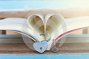 Heart shaped padlock with key and Heart book, business concept