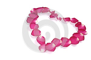 Heart-Shaped Pattern of Rose Petals