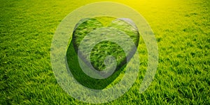 Heart shaped planet on green meadow for earth day sunny. A heart shaped piece of grass in the middle of a field