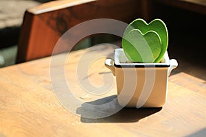 Heart shaped potted plant on the desk