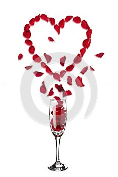 Heart shaped red rose petals popping out of champagne glass
