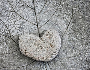 Heart Shaped Rock setting on Conrete Leave