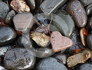 Heart Shaped Rock In Wet Rocks