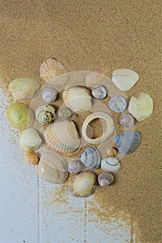Heart shaped seashells on beach