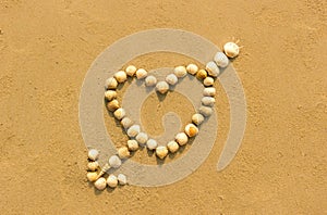 Heart shaped shells on the beach