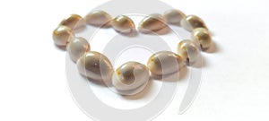 Heart Shaped Shells on White