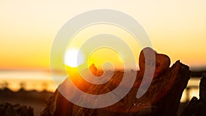 Heart shaped stone liyng treetrunk with sunset and as background