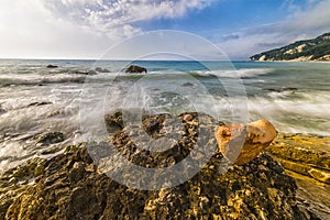 Heart-shaped stone at the Rocce nere beach at sunrise, Conero NP photo