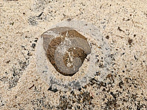 heart shaped stone on sand