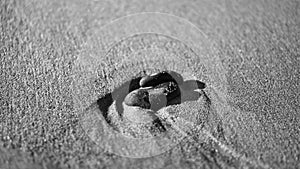 heart-shaped stone in the sand of the beach on the Baltic Sea black and white