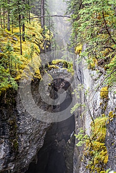 Heart shaped stones in Maligne Canyon in Jasper National Park, Canada