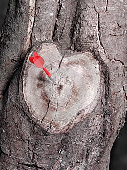 Heart shaped tree branch cutoff in black and white with a red dart