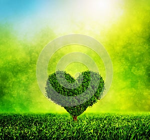 Heart shaped tree growing on green grass. Love