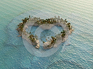 Heart-shaped tropical island