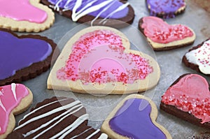 Heart Shaped vanilla and chocolate cookies with pink and purple icing for Valentines day