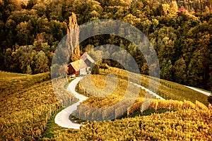 Heart shaped wine road in Slovenia