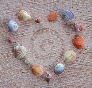 Heart of Shells on Pink