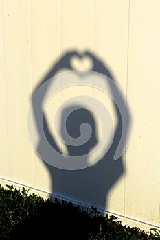 Heart Silhouette Shadow