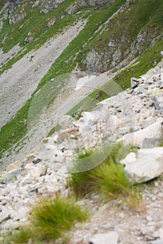 Srdcový sneh v sutinách v Roháčoch Západné Tatry na Slovensku