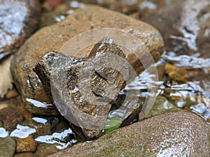 Heart of stone shaped rock