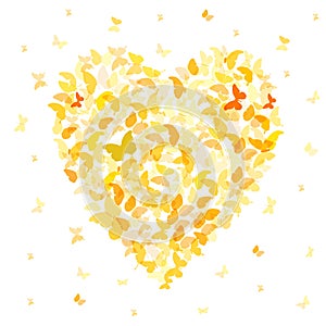 Heart - summer banner, card design, Colorful Yellow Orange butterfly on white background. Vector