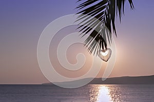 Heart symbol of love hanging on tropical palm, seascape in background. Valentine`s day. Trend color Very Peri copy space