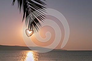 Heart symbol of love on tropical palm branch and sunrise over sea. Valentines day concept. Valentine card, copy space