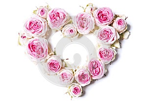 Heart symbol made of fresh white-pink Rose flowers isolated on white background.