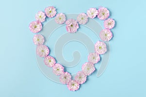 Heart symbol made of pink blossoming spring flowers on blue background. Love concept. Flat lay. Valentines day