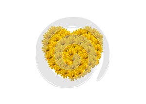 Heart symbol made of yellow flowers isolated white background