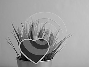 Heart tag and grass in a pot on background with copy space. White and black tone process