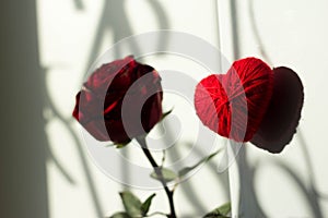 Heart of threads yarn on a background of red roses