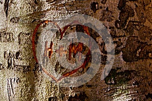 Heart on a Tree