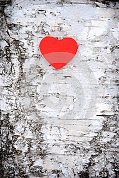 Heart on tree