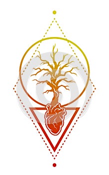 Heart, of the tree as a symbol of life.