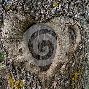 Heart tree