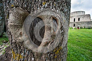 Heart tree