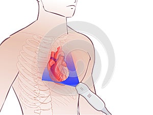 Heart ultrasoiund illustration. Echocardiography concept