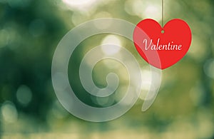 Heart-Valentine hanging on a rope on abtract background