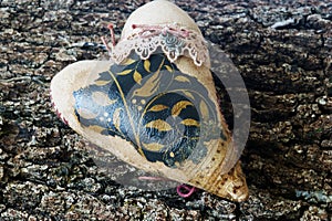 Heart in vintage style