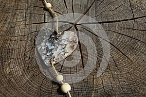 Heart on a weathered tree trunk