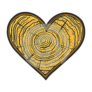 Heart wooden texture line art color sketch vector