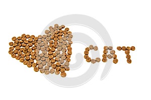 Heart and word CAT lined with dry animal food isolated on white background