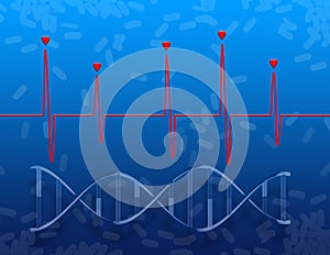 Heartbeat cardiogram