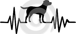 Dog heartbeat line with labrador photo