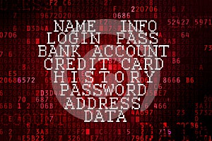 Heartbleed bug concept.