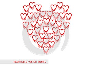 Heartbleed openssl bug vector pattern